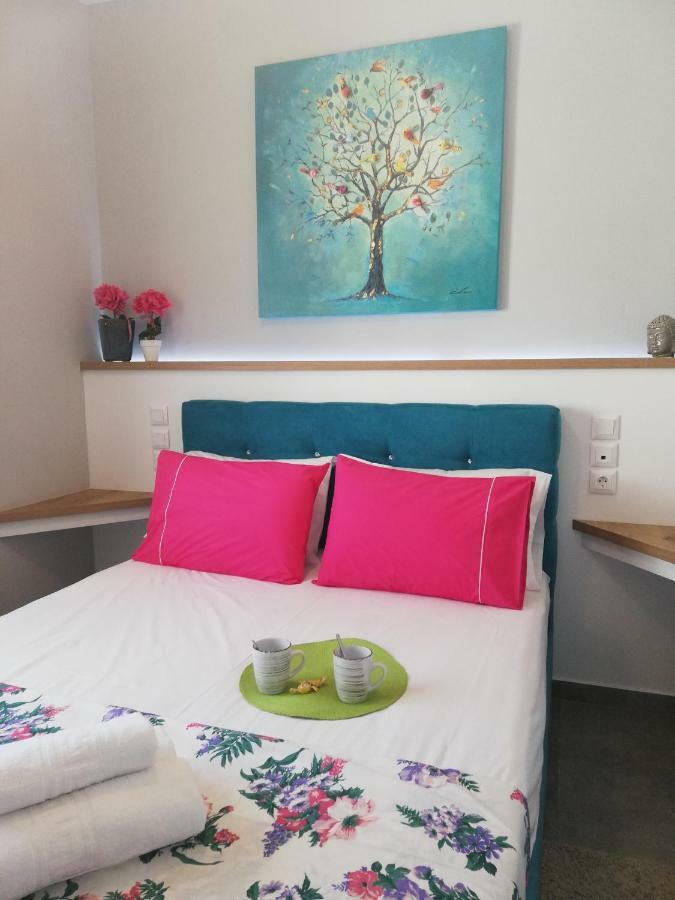 Sandra"S Acropolis View Penthouses アテネ エクステリア 写真